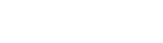 Auto Obsessions